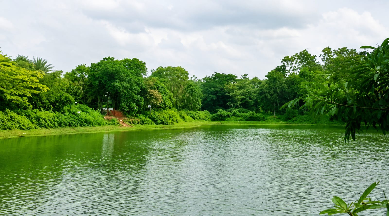 শমসের গাজীর শিষ্য জামু গাজী ও ডেকরা দীঘির ইতিহাস